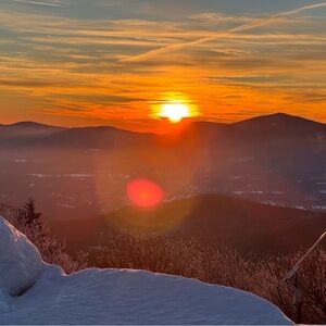 Meet your Posher, Will